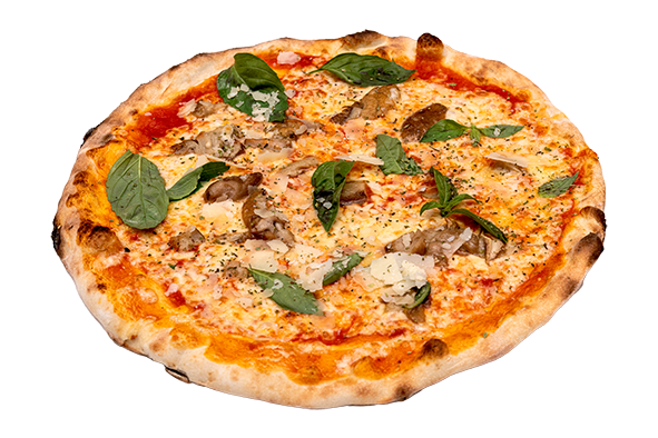 070 Pizza Delizia